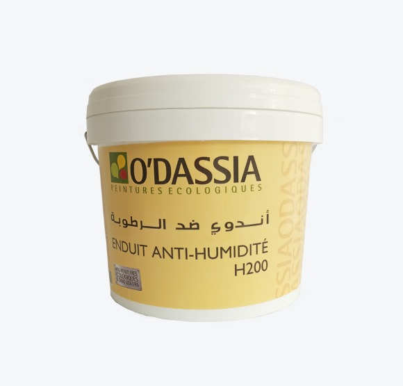 Enduit Anti Humidité H 200 4Kg - détail produit